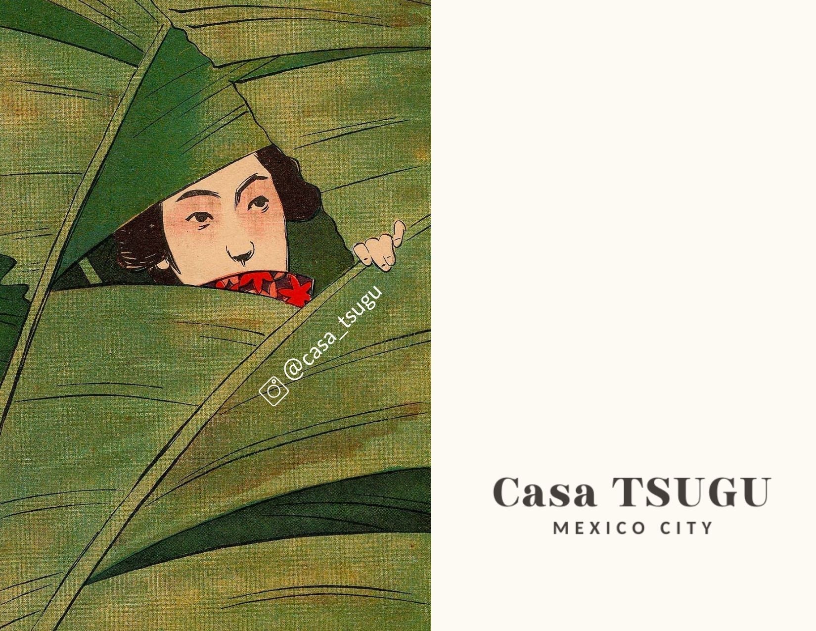 Servicio de envoltura navideña Casa TSUGU